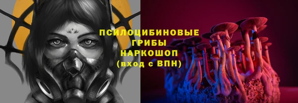 мяу мяу мука Гусев