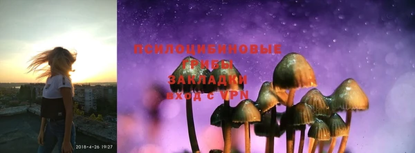 кристаллы Горняк