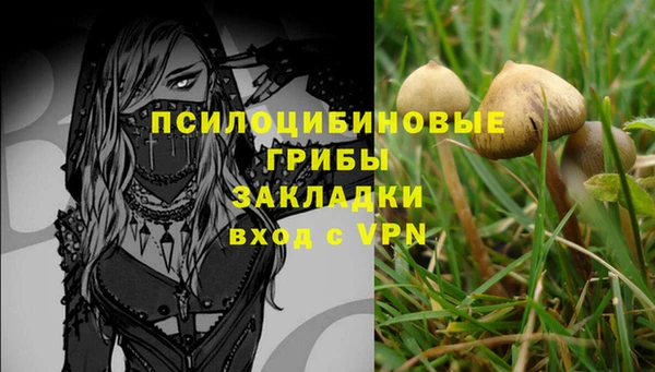 кристаллы Горняк
